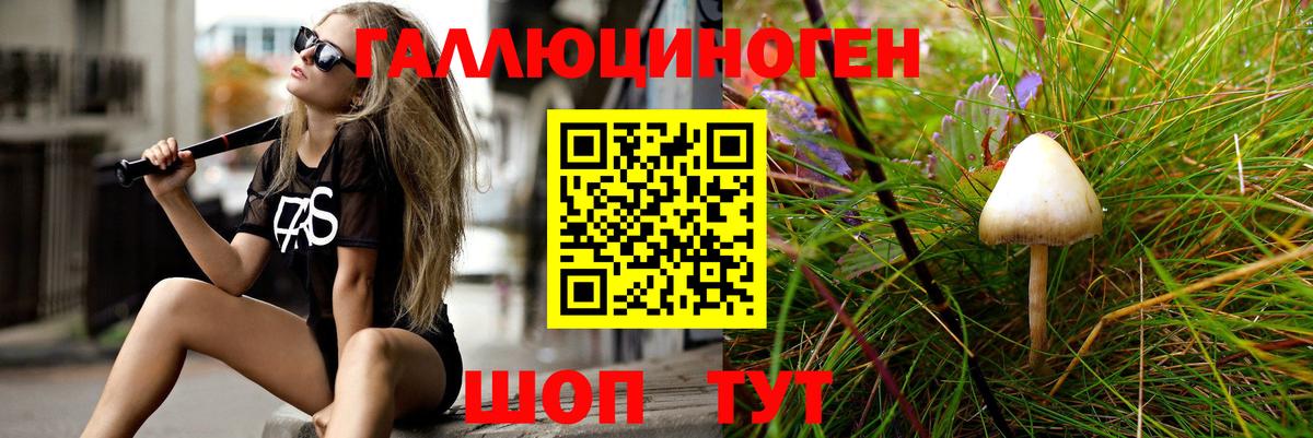 Галлюциногенные грибы прущие грибы  Вход с VPN  купить закладку  Курган 