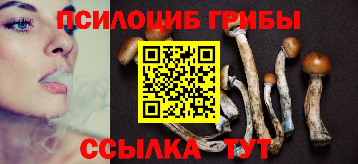 Псилоцибиновые грибы GOLDEN TEACHER Курган